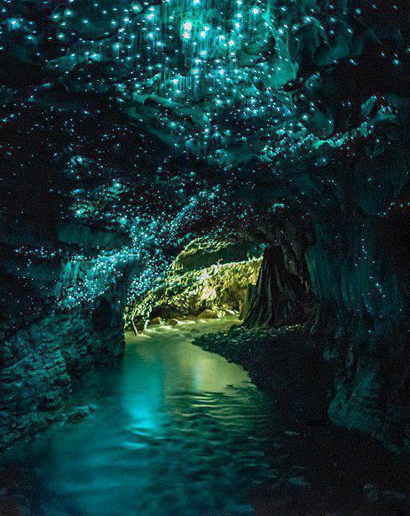 Пещера светлячков, Новая Зеландия