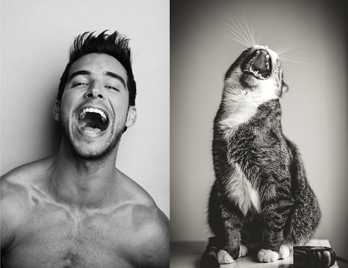 Фото из блога Des Hommes et Des Chatons Фото из блога Des Hommes et Des Chatons