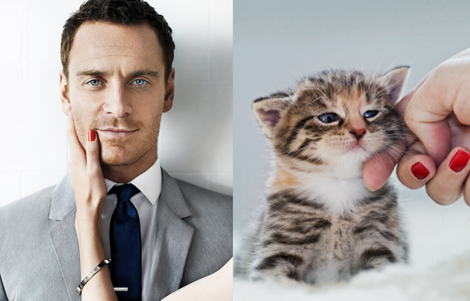 Фото из блога Des Hommes et Des Chatons Фото из блога Des Hommes et Des Chatons