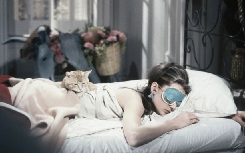cats0402 (3) Завтрак у Тиффани