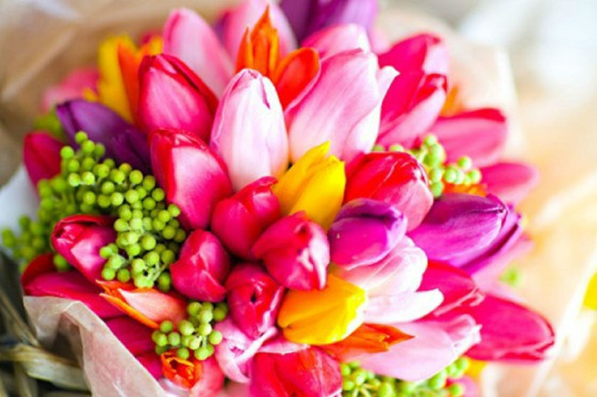 flowers3005 (6) Тюльпаны